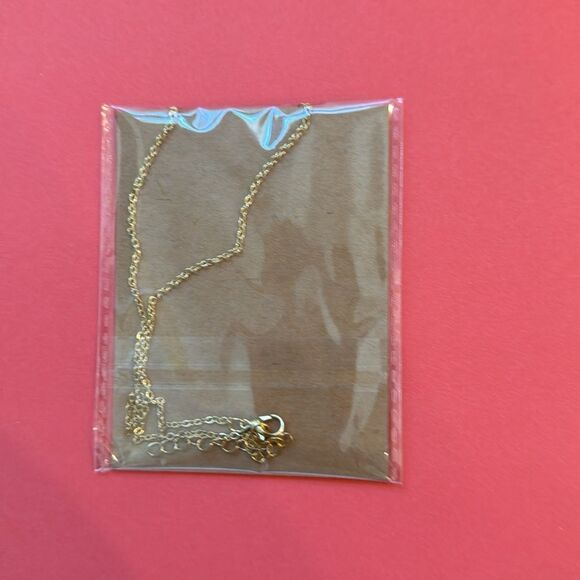 Friendships Forever Necklace - Picture 2 of 2
